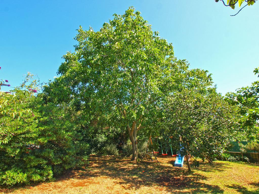 פרמנטורה Apartments Vlasta 1410 מראה חיצוני תמונה