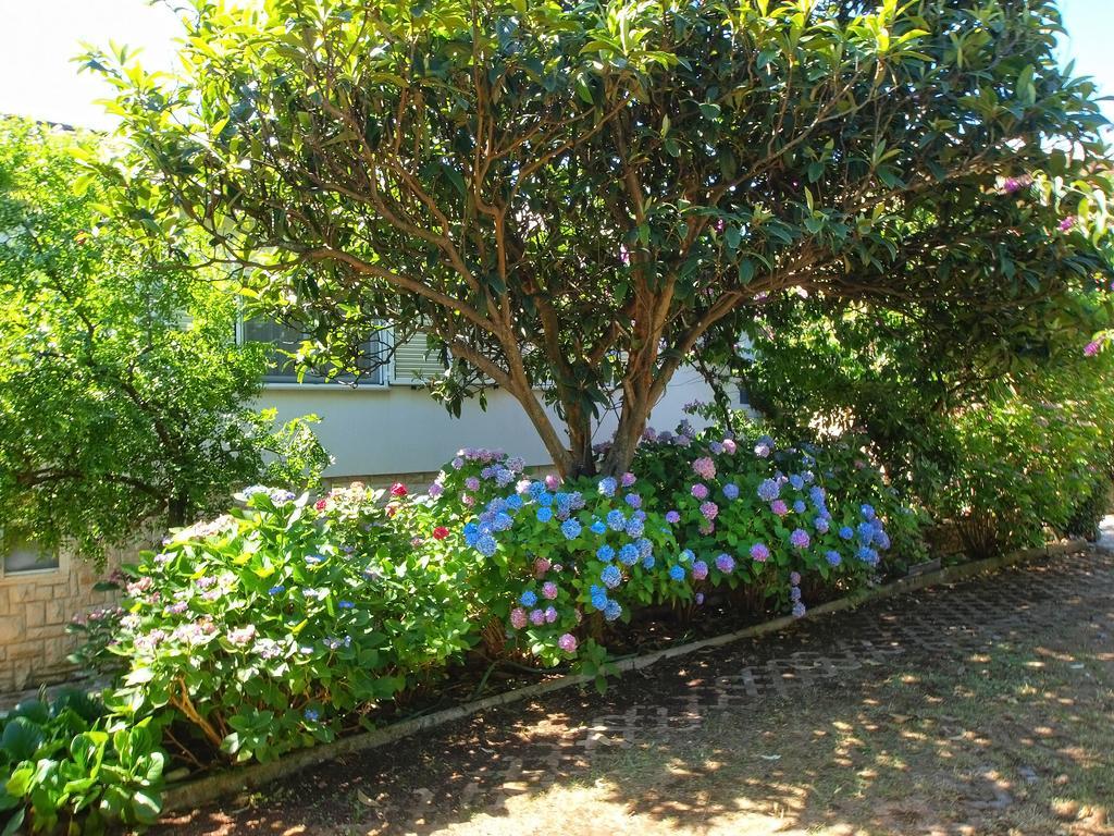 פרמנטורה Apartments Vlasta 1410 מראה חיצוני תמונה
